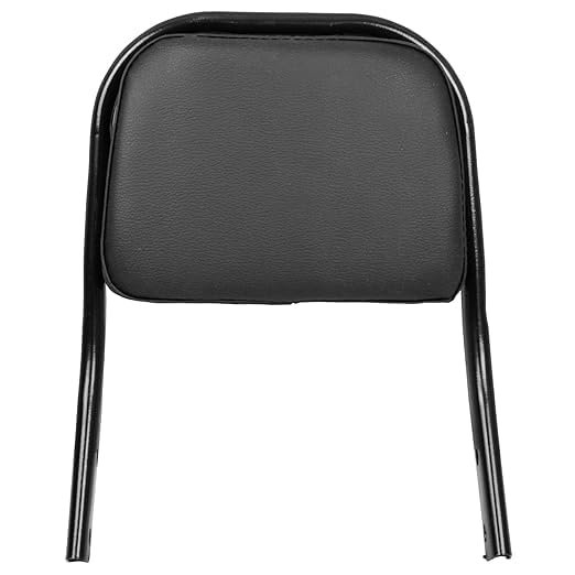 Zombieeast Backrest Compatible for Bajaj Avenger Street 160, Avenger Cruise 220